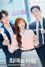 My Bias, My Boss (2026)